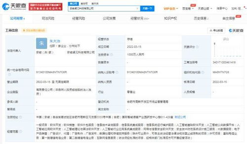 科大訊飛拓展業務版圖，安徽新設兩家軟件開發公司